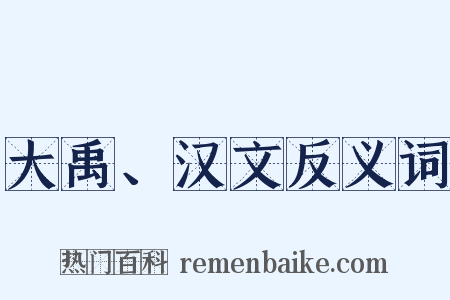 大禹、汉文反义词是什么意思的图片
